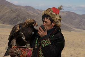Chasse au renard en Mongolie