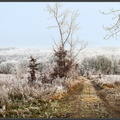 Paysage hivernal dans Les Vosges