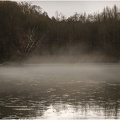 Brume sur l'étang.jpg