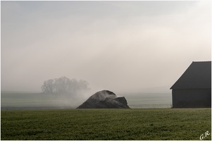 Brouillard au Rosnel (Vexin)