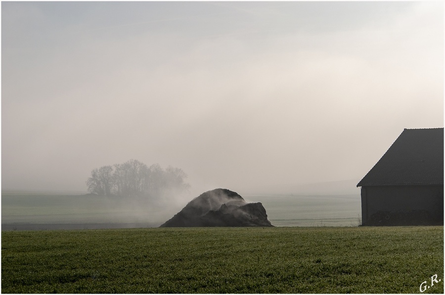 Brouillard au Rosnel (Vexin).jpg