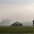 Brouillard au Rosnel (Vexin)