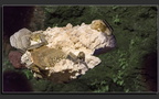 Météorite