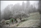 Paysage hivernal