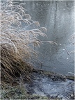 Givré nature 1