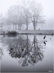 Brouillard aux Eboulures Monochrome
