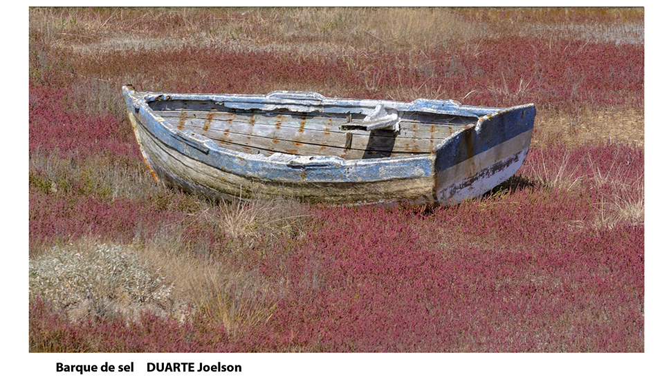 Slide 15