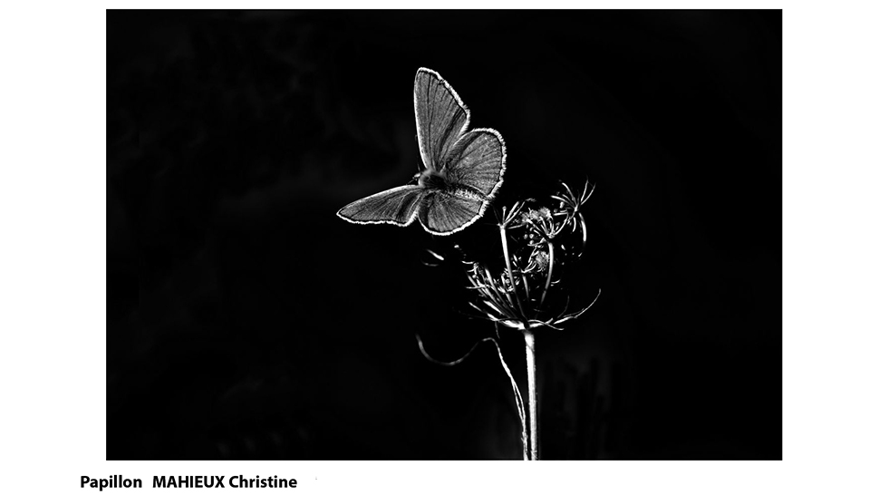 Slide 19