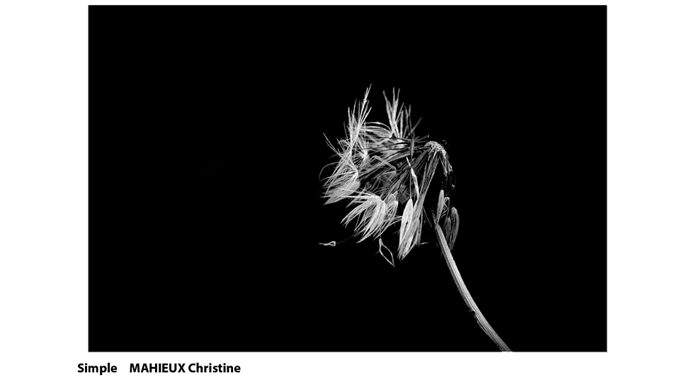 Slide 7