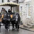 Les chevaux de Blois